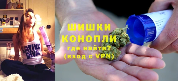 PSILOCYBIN Бородино